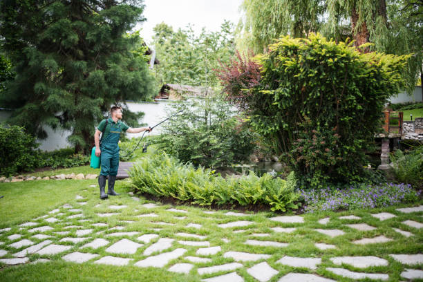 Pest Prevention Services in Thornwood, NY
