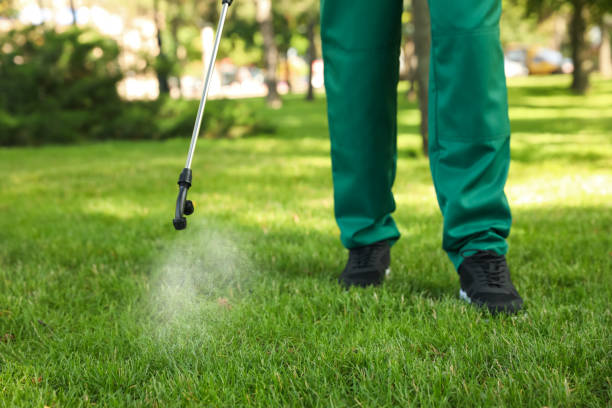 Best Emergency Pest Control  in Thornwood, NY