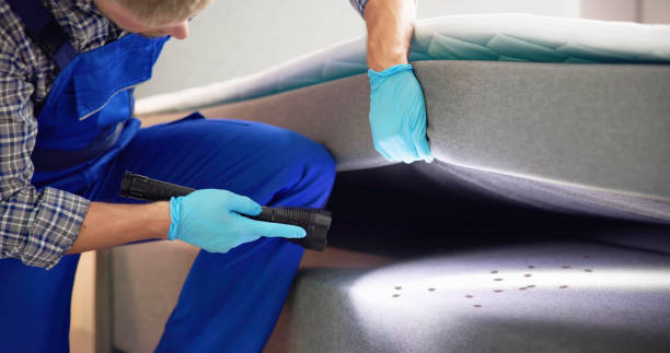 Best Commercial Pest Control Services  in Thornwood, NY