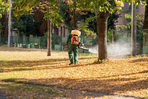 Best Wasp Removal Services  in Thornwood, NY
